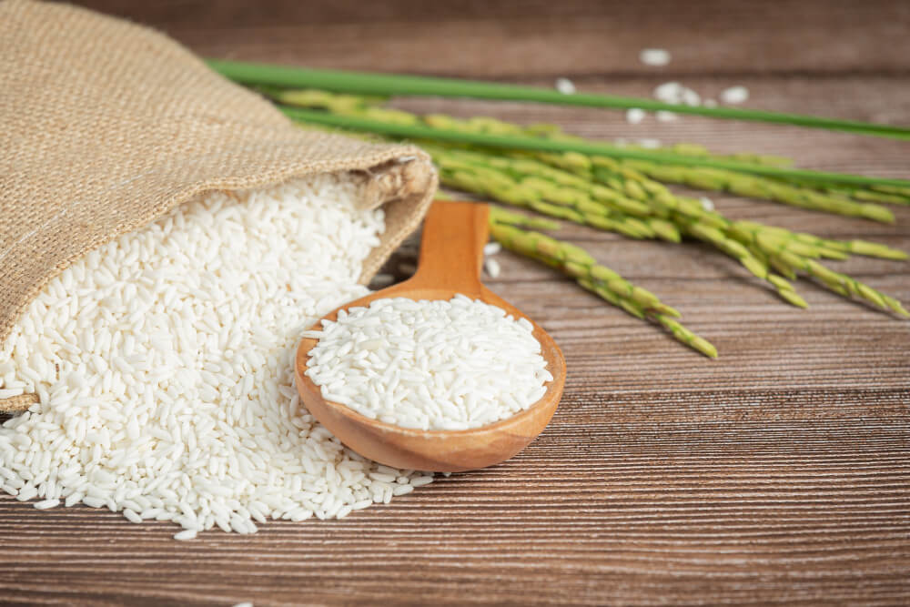 crispr mejora producción arroz