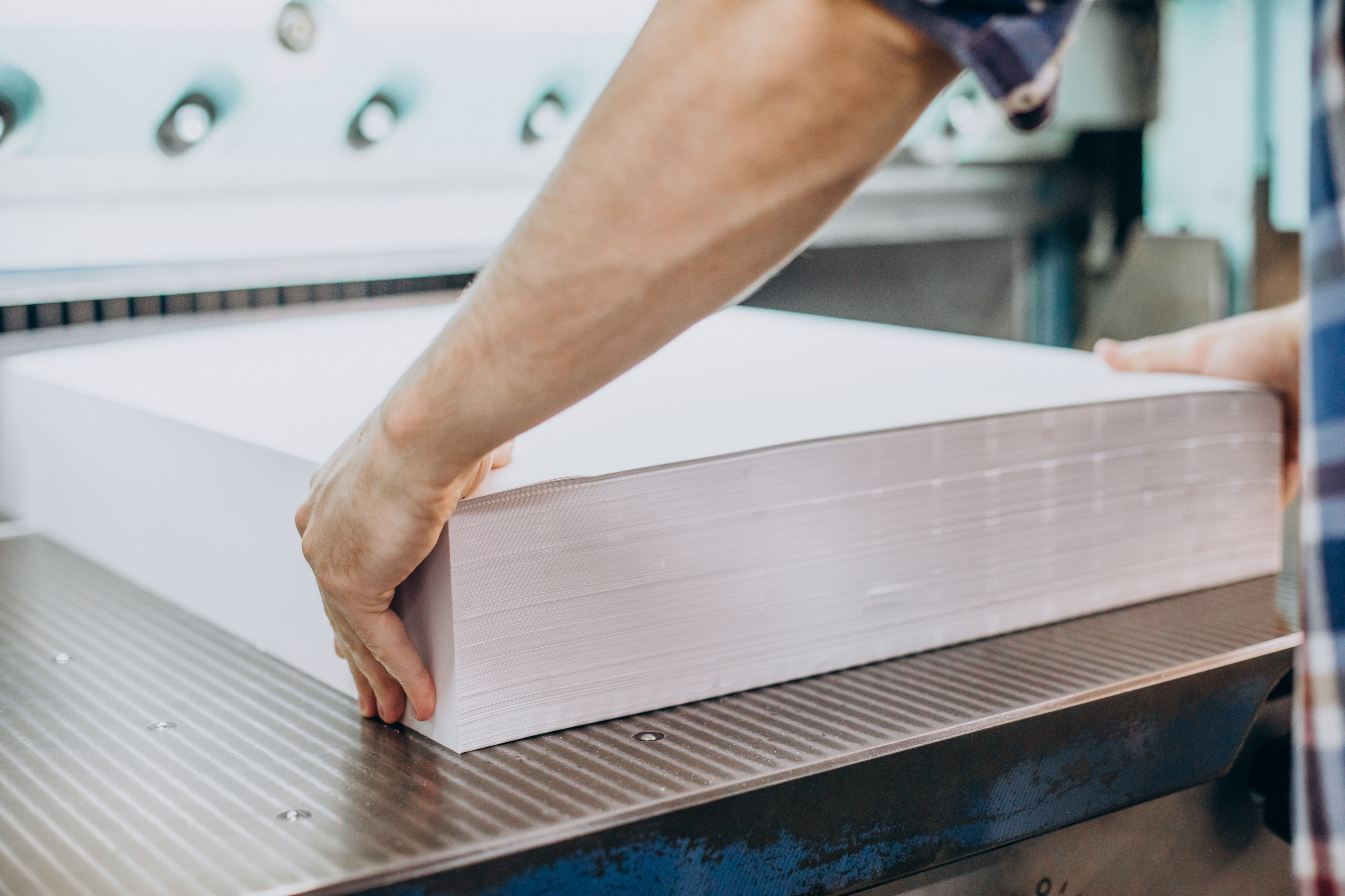 Industria del papel y la celulosa