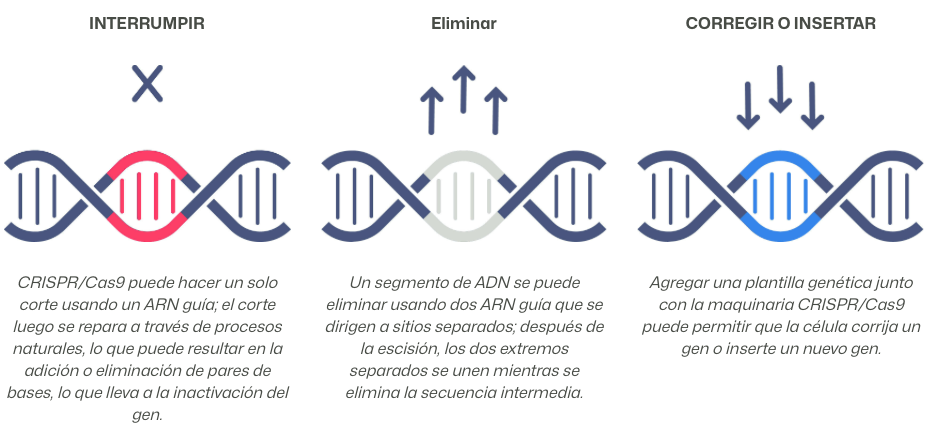 que es CRISPR