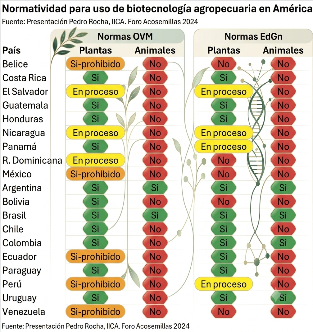 Diferencias normativas America Latina