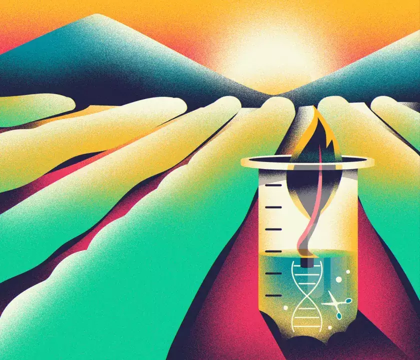 crispr en cultivos edición genética en la agricultura