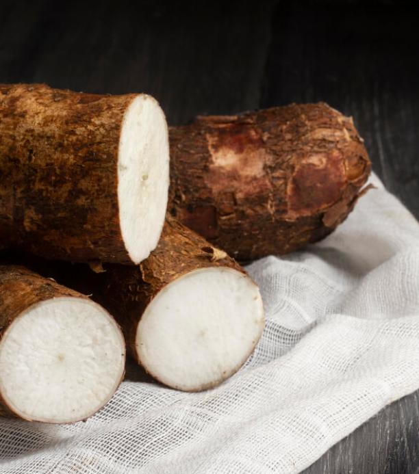 yuca sin cianuro crispr