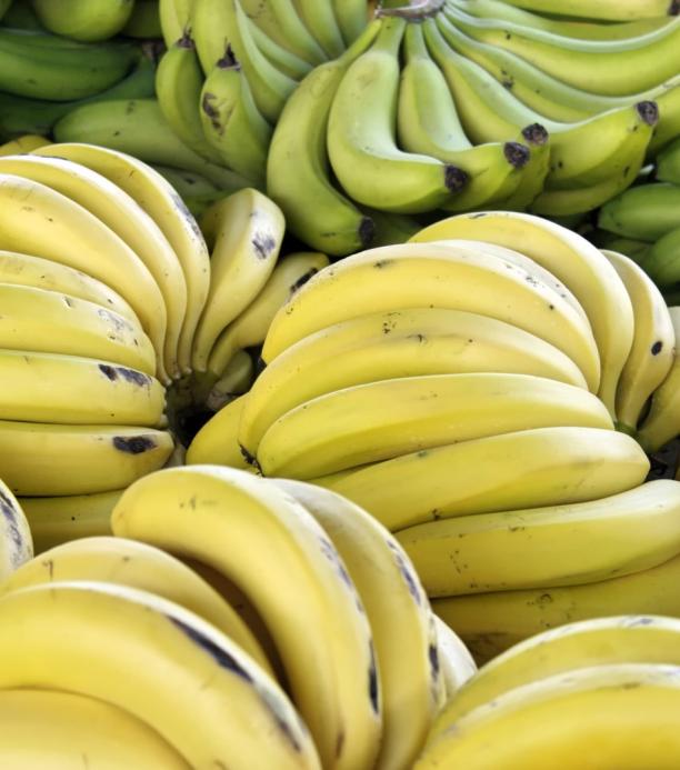 Banano editado con Crispr